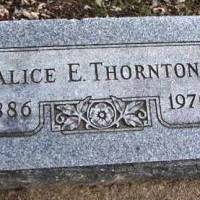 Alice E THORNTON