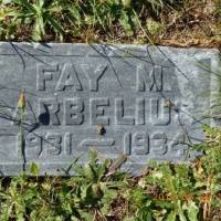 Fay M. ARBELIUS
